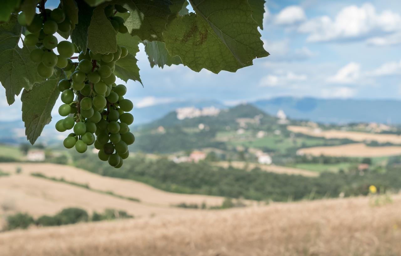 Borgo Bianchini Βίλα Τόντι Εξωτερικό φωτογραφία